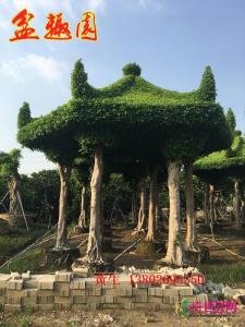 六角亭