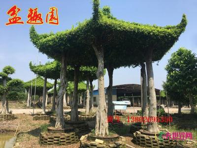 六角亭